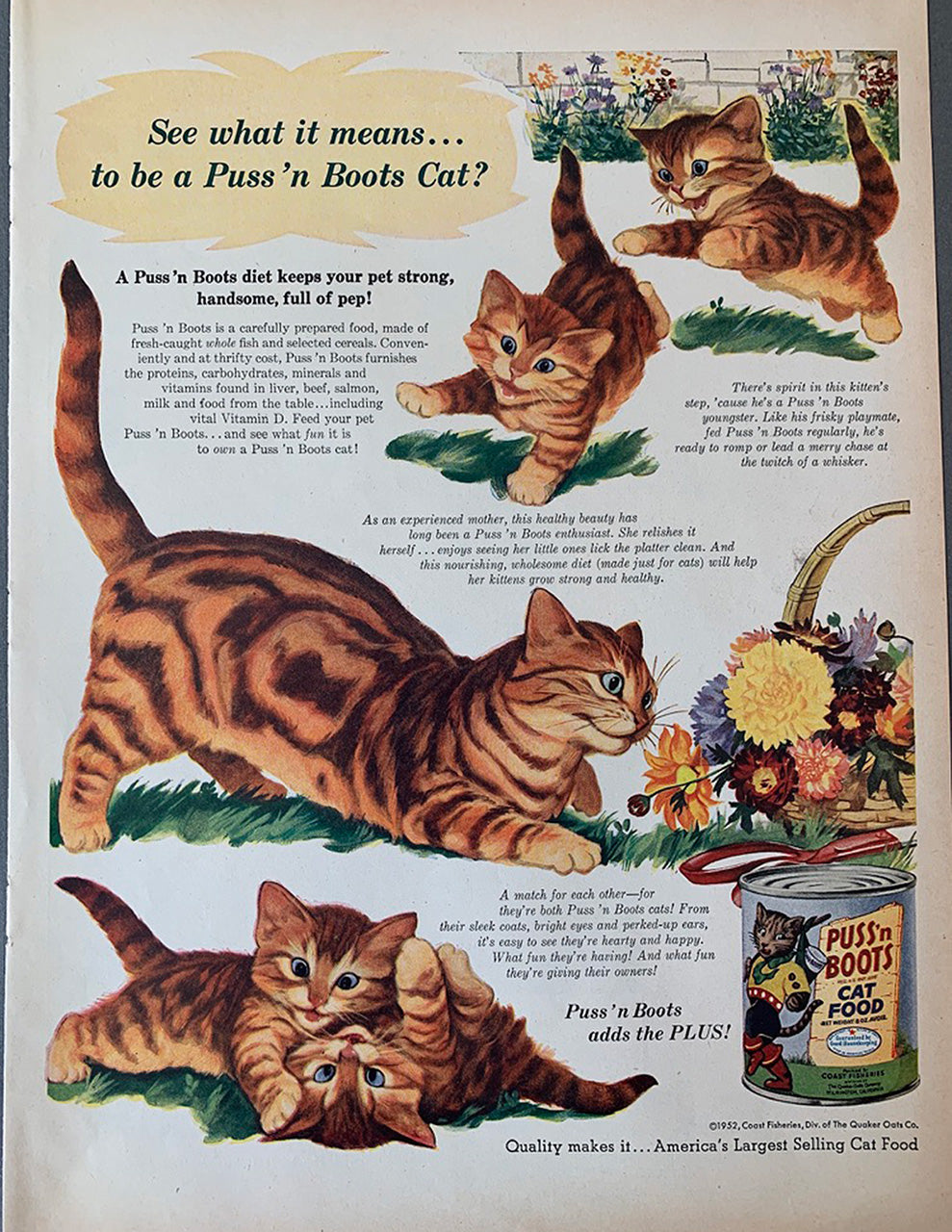 Vintage LIFE Magazine bundle